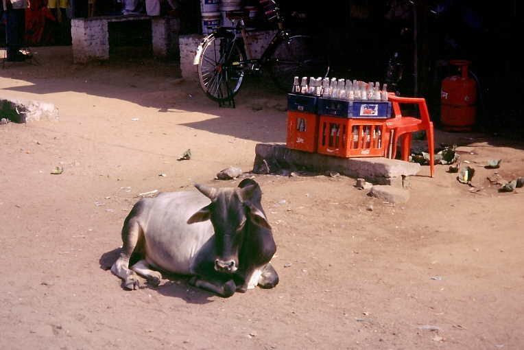 0218KM 88397 23JUN03 Indien Kajuraho.jpg